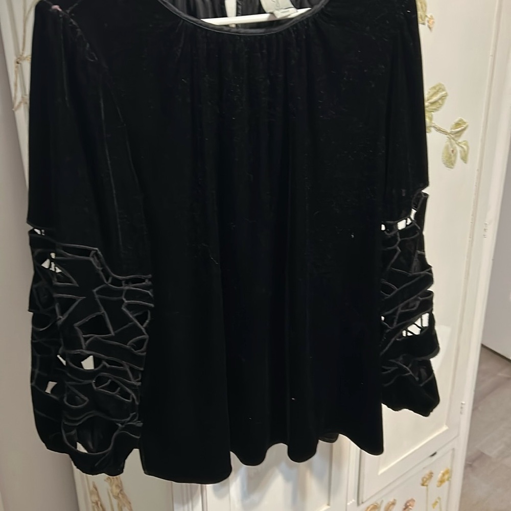Velvet ornate sleeves Top with velvet pants Size 1x